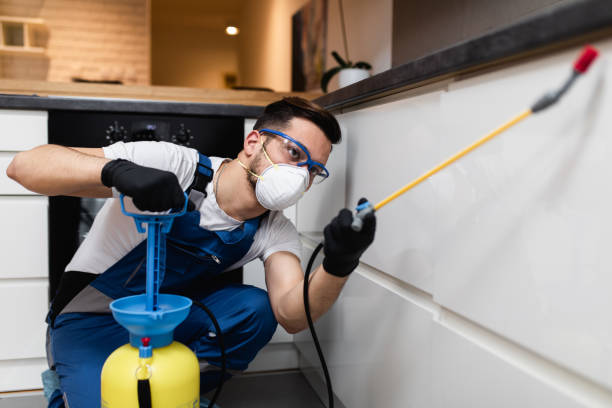 Best Exterminator Services  in New Madrid, MO