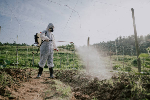 Best Best Pest Control Companies  in New Madrid, MO
