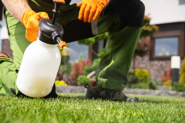 New Madrid, MO Pest Control Company
