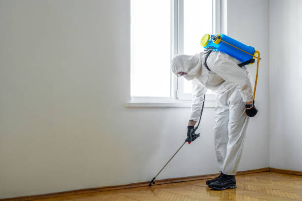 Best Wildlife Control Services  in New Madrid, MO