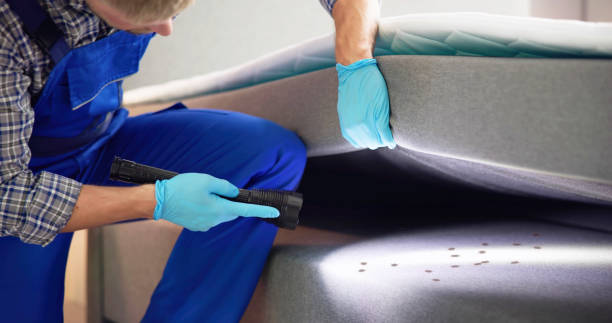 Best Termite Control Services  in New Madrid, MO