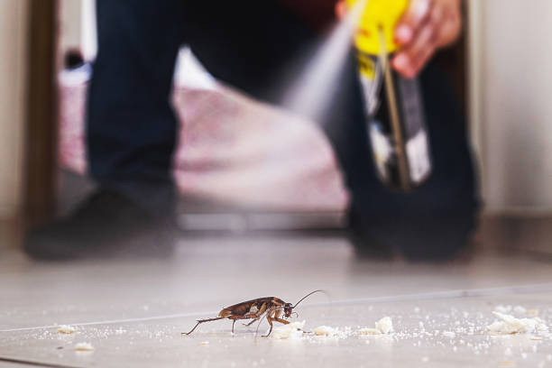 Best Commercial Pest Control Services  in New Madrid, MO